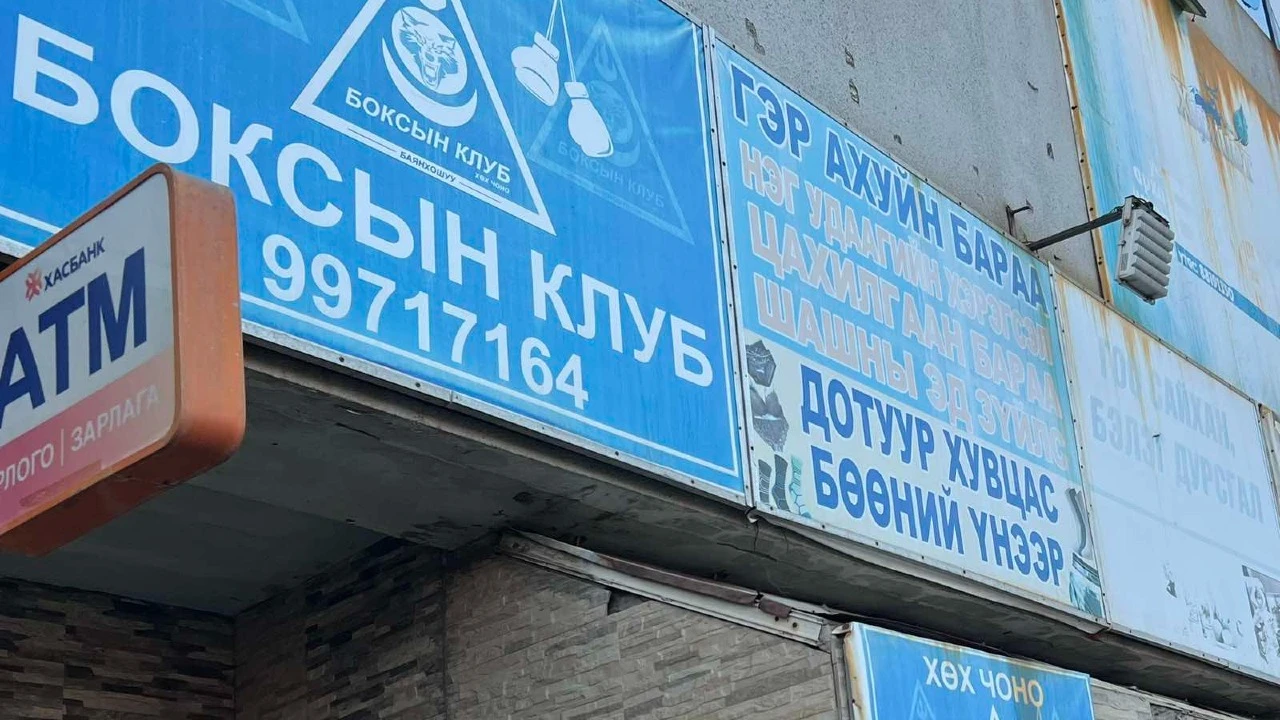 Хөх Чоно клуб