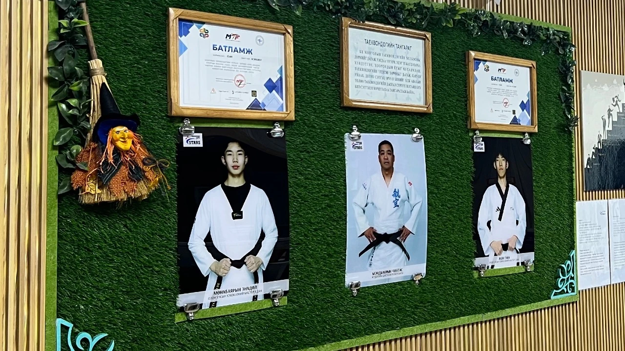 Stars сургалтын төв