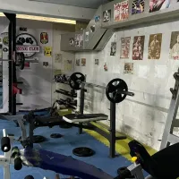 Хөх Чоно клуб