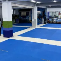 Stars сургалтын төв