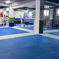 Stars сургалтын төв