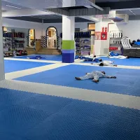 Stars сургалтын төв