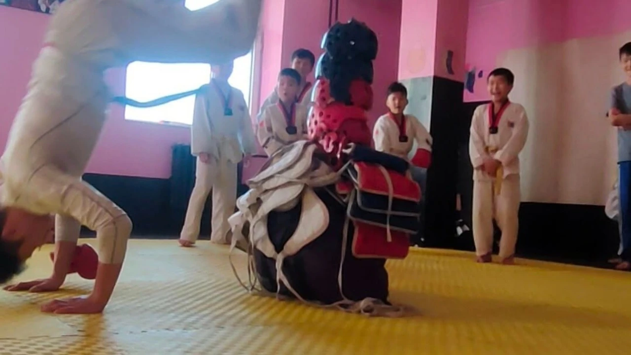 Дайчин Шонхор тулааны клуб