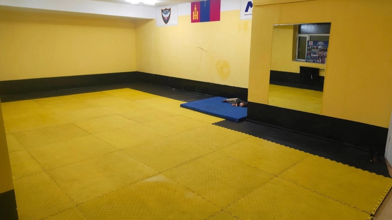 Дайчин Шонхор тулааны клуб