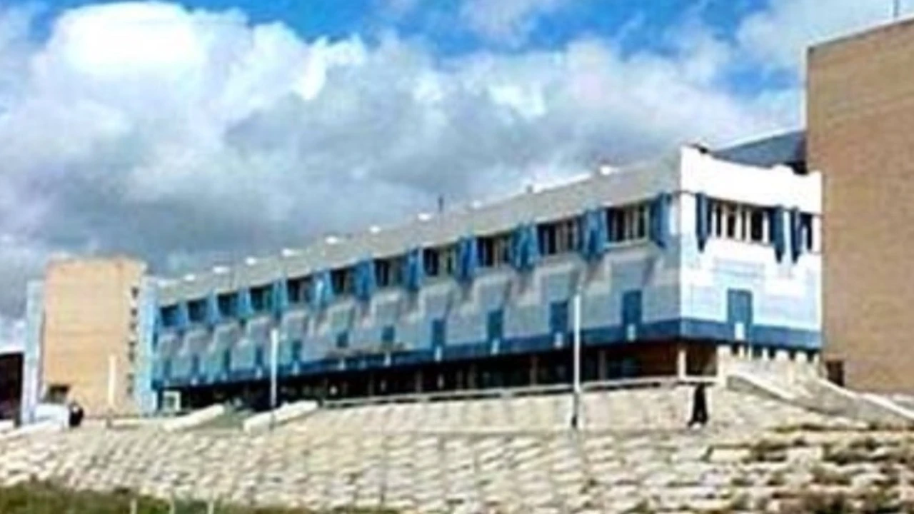 "Кенгуруу" волейболын сургалт, клуб - БЗД, "КТМС" салбар