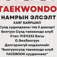 Билгүүн Сүлд таеквондо клуб