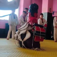 Дайчин Шонхор тулааны клуб