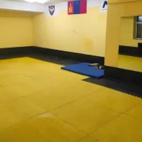 Дайчин Шонхор тулааны клуб