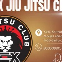 REX jiu jitsu club