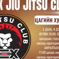 REX jiu jitsu club
