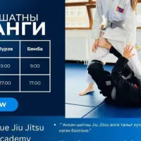 Unique Jiu Jitsu Academy - Салбар 2