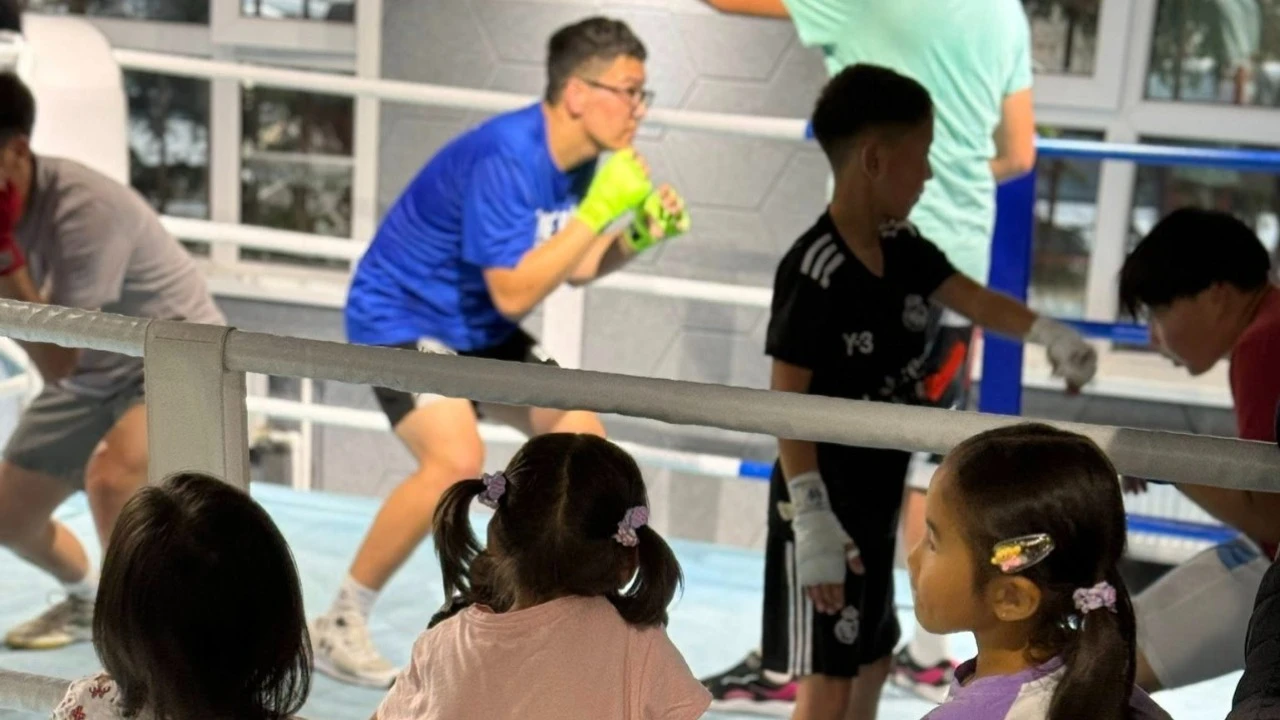 PAPA COACH - BOXING CLUB - Салбар 2