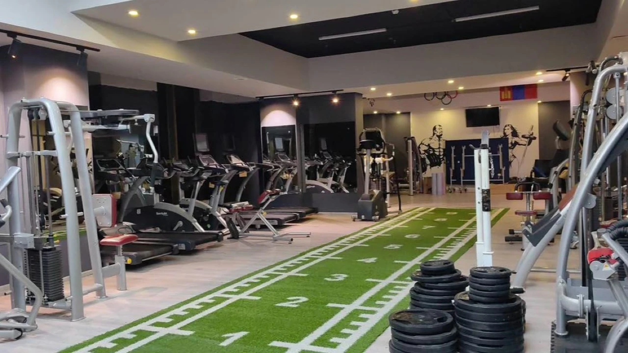  Knight Fitness - Салбар 2