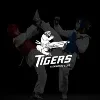 Tigers Olympic Taekwondo Club