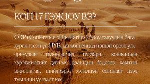 Цөлжилттэй тэмцэх тухай Нэгдсэн Үндэстний Байгууллагын Конвенцын Талуудын бага хурлы...